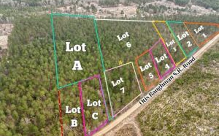 Pictures of Land property located at 02 Otis Baughman S.R. Road, Wagener, SC 29164 for sales - image #1