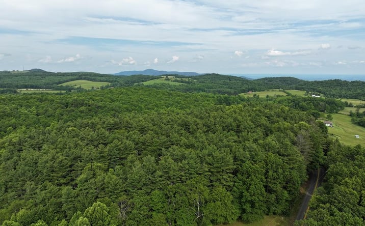 Pictures of Land, Multifamily property located at 0 Red Rough Rd, Meadows of Dan, VA 24120 for sales - image #1