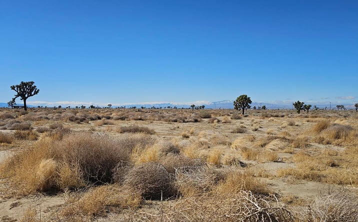 Pictures of Land property located at 90th St E, Lancaster, CA 93535 for sales - image #1