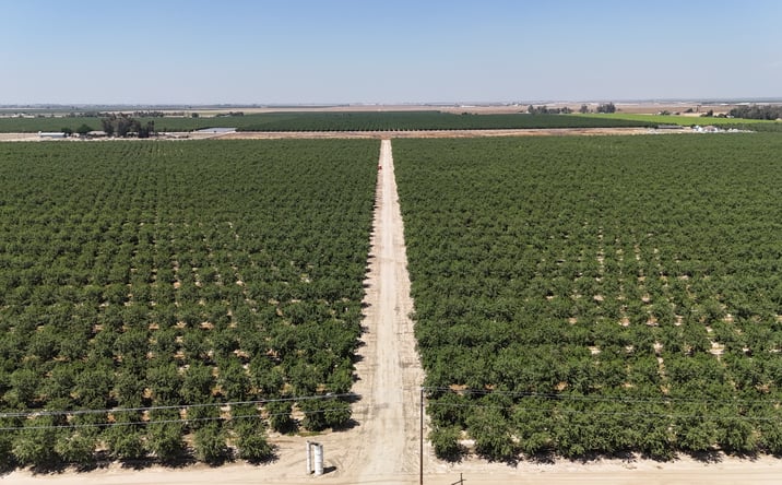 Pictures of Land property located at South Side of Ave. 84, .5 miles east of Rd 140, Pixley, CA 93256 for sales - image #1