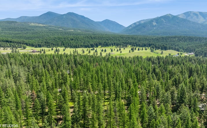 Pictures of Land property located at 337 Forest Loop, Eureka, MT 59917 for sales - image #1