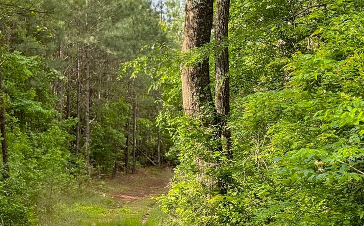 Pictures of Land property located at Bent Road 70, Arkansas, CA 95945 for sales - image #1