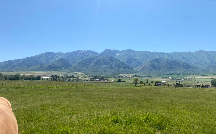 Pictures of Land property located at 4798 W 2900 S, Mendon, UT 84325 for sales - image #1