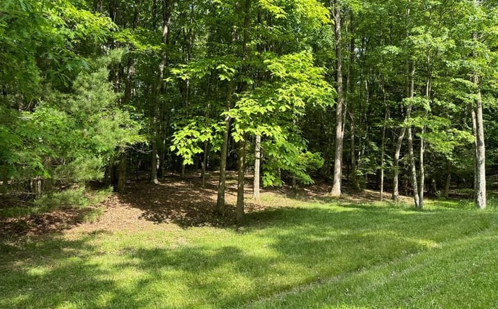 Pictures of Land property located at 108 Mountain Laurel Road, Daniels, WV 25832 for sales - image #1