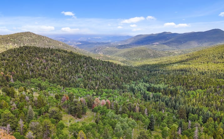 Pictures of Land property located at 3665 Beaver Brook Canyon Rd, Evergreen, CO 80439 for sales - image #1