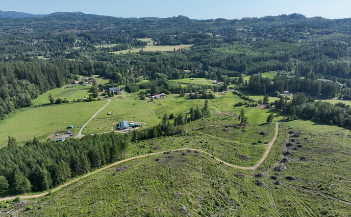 Pictures of Land property located at 0 NE 206th Ave, Amboy, WA 98601 for sales - image #1