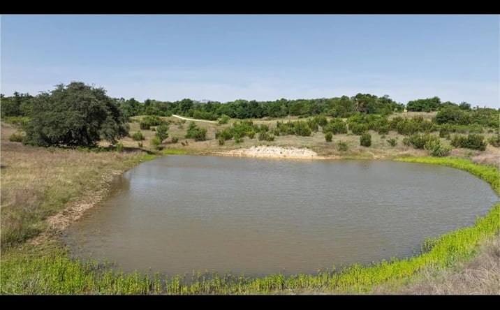 Pictures of Land property located at 5300 CR 132, Morgan Mill, TX 76465 for sales - image #1