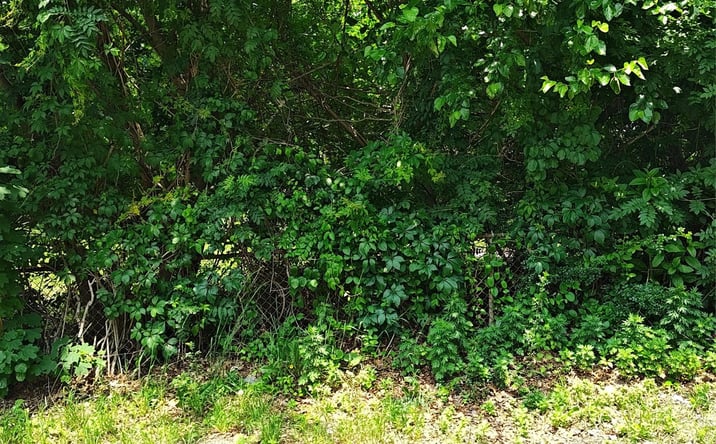 Pictures of Land property located at 105 Gray Avenue, Brookhaven, NY 11763 for sales - image #1
