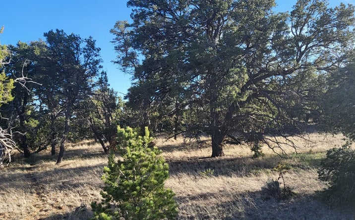 Pictures of Land property located at 5 Misty Lane, Candy Kitchen, NM 87321 for sales - image #1
