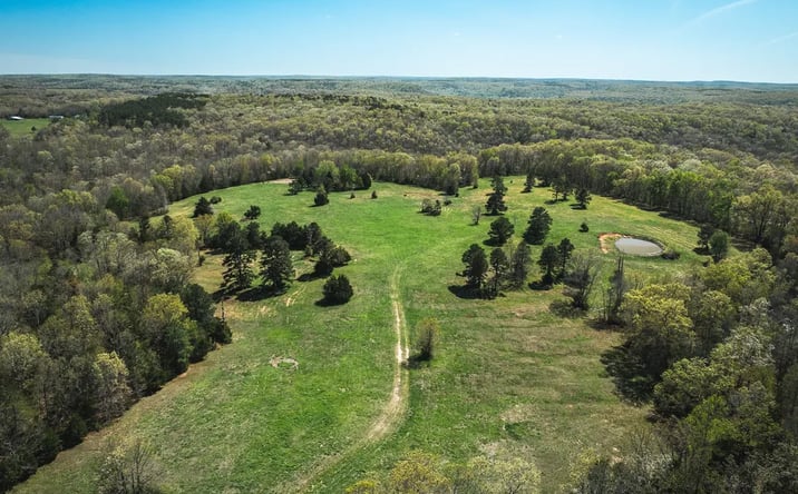 Pictures of Land property located at 000 Forest Service Rd, Beulah, MO 65436 for sales - image #1