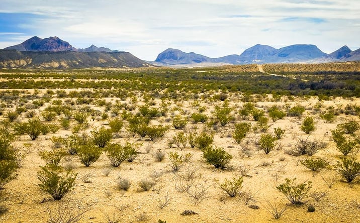 Pictures of Land property located at 14427 Lavaca Ave, Terlingua, TX 79830 for sales - image #1