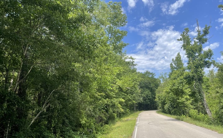 Pictures of Land property located at 0 Foster Road, Sumrall, MS 39482 for sales - image #1