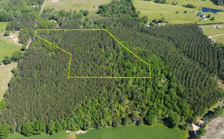 Pictures of Land property located at 00 Pete Fields Road, Sumrall, MS 39482 for sales - image #1