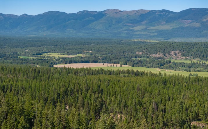 Pictures of Land property located at TBD Greenstone Ranch Road Lot 23 PH3, Whitefish, MT 59937 for sales - image #1