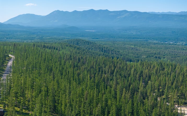 Pictures of Land property located at TBD Lodgepole Ranch Road Lot 20 PH3, Whitefish, MT 59937 for sales - image #1