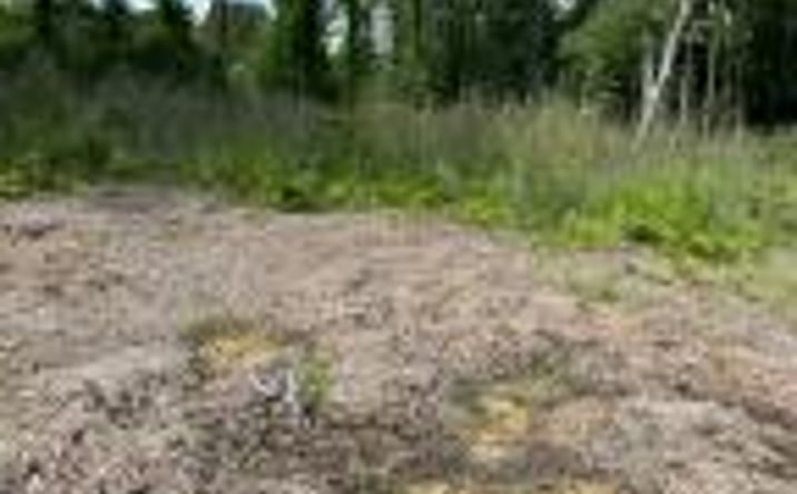 Pictures of Land property located at 0 Sinclair Road, Summerville, SC 29483 for sales - image #1