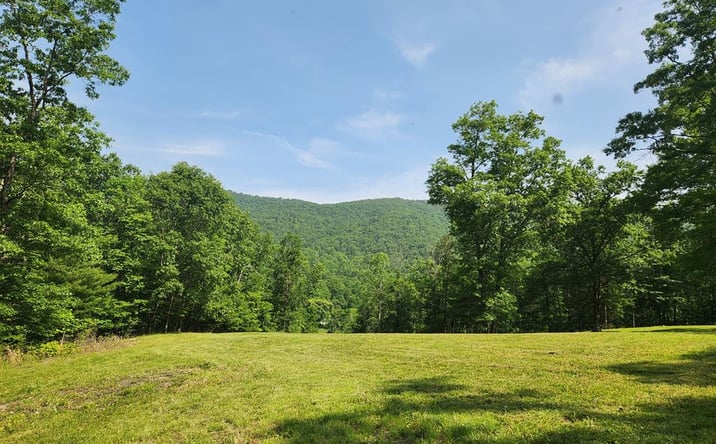 Pictures of Land property located at 0 Dry Fork Road, Rocky Gap, VA 24366 for sales - image #1