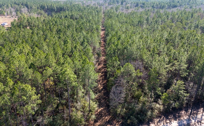 Pictures of Land property located at 0 Whispering Dr.,, Lumberton, TX 77657 for sales - image #1
