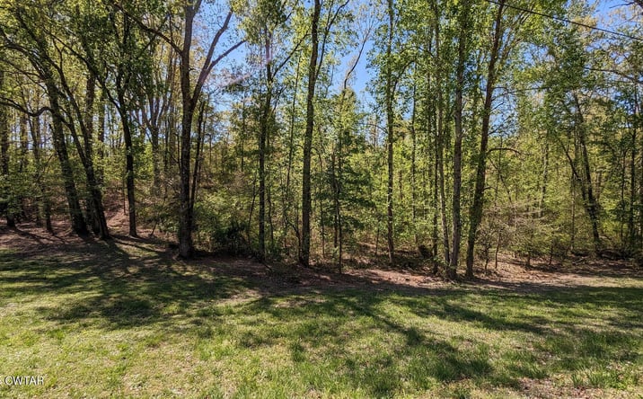 Pictures of Land property located at 0 TN-100 E, Henderson, TN 38340 for sales - image #1