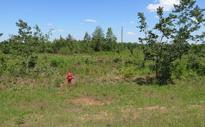 Pictures of Land property located at 0 Ebenezer Road, Ellaville, GA 31806 for sales - image #1