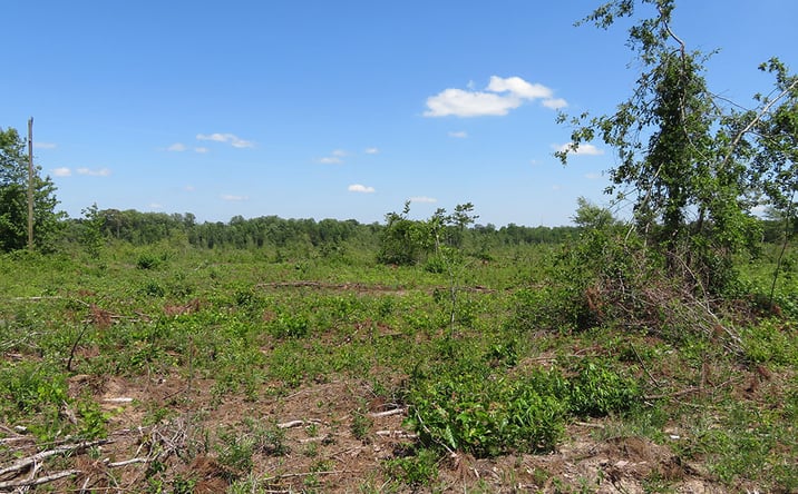 Pictures of Land property located at 2 Goolsby Road, Ellaville, GA 31806 for sales - image #1