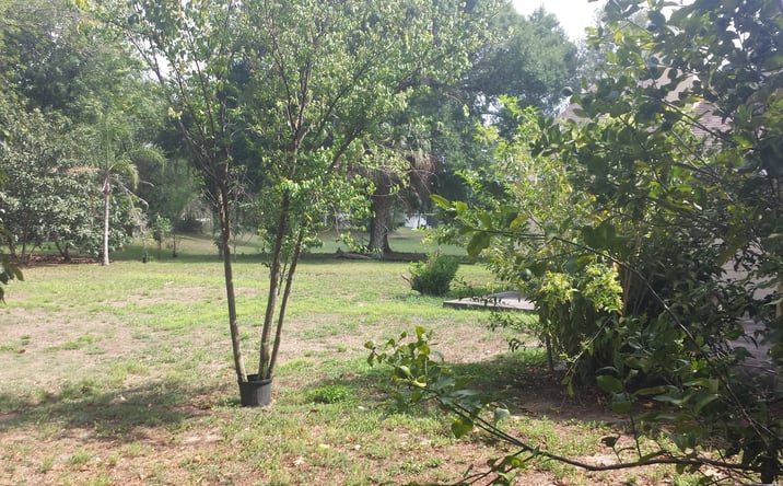 Pictures of Retail, Mixed Use, Land property located at SE Corner Highway 301 and Rhodine, Riverview, FL 33578 for sales - image #1