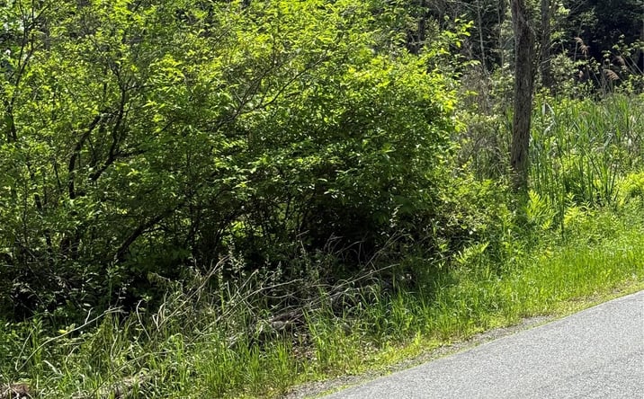 Pictures of Land property located at 151 Ernest Road, Stanford, NY 12581 for sales - image #1