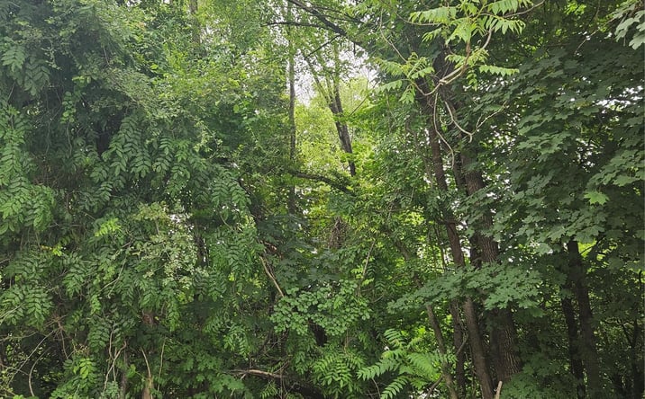 Pictures of Land property located at 90 Towners, Carmel, NY 10512 for sales - image #1