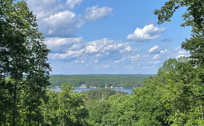 Pictures of Land property located at 3829 MS-25, Iuka, MS 38852 for sales - image #1
