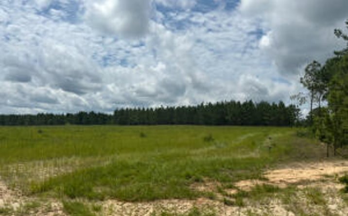 Pictures of Land property located at 00/Tbd Snipes Pond Rd, Aiken, SC 29805 for sales - image #1