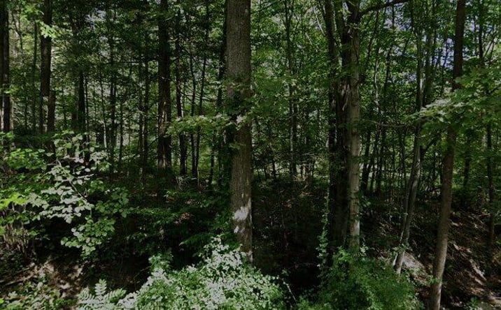 Pictures of Land property located at 1009 N Mountain Road, Gardiner, NY 12525 for sales - image #1