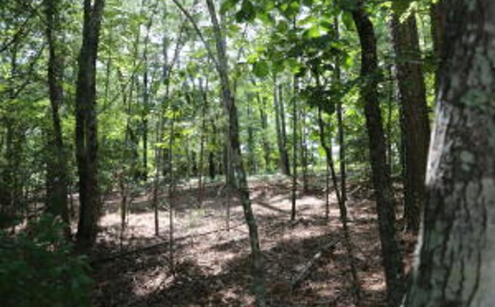 Pictures of Land property located at 203 Saluda Bluff Rd Road, Batesburg-Leesville, SC 29006 for sales - image #1