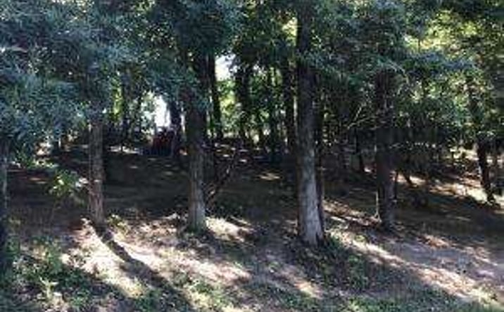Pictures of Land property located at L23r Maple Crest, Greeneville, TN 37743 for sales - image #1