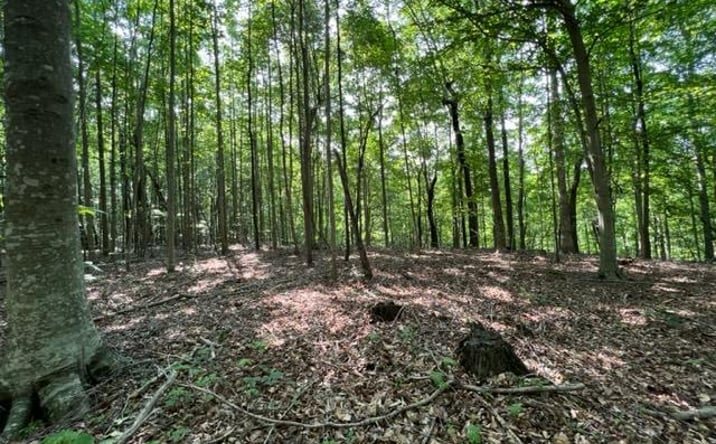Pictures of Land property located at H R Huffer Ln, Allons, TN 38541 for sales - image #1
