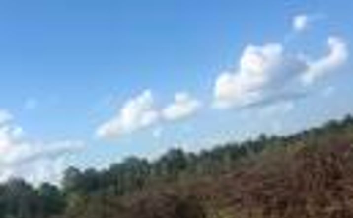 Pictures of Land property located at 00 Log Creek Rd, Edgefield, SC 29824 for sales - image #1