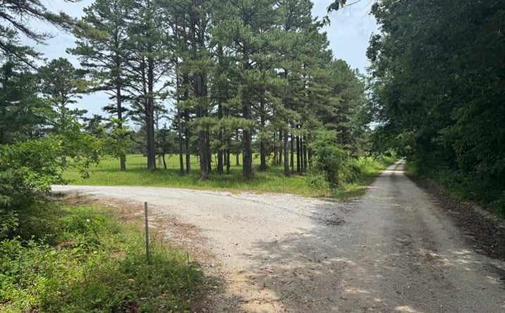 Pictures of Land property located at 3309 NC 421, Marble Falls, AR 72648 for sales - image #1