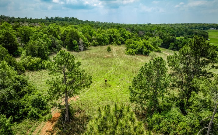 Pictures of Land property located at 2330 County Road 329, Milano, TX 76556 for sales - image #1