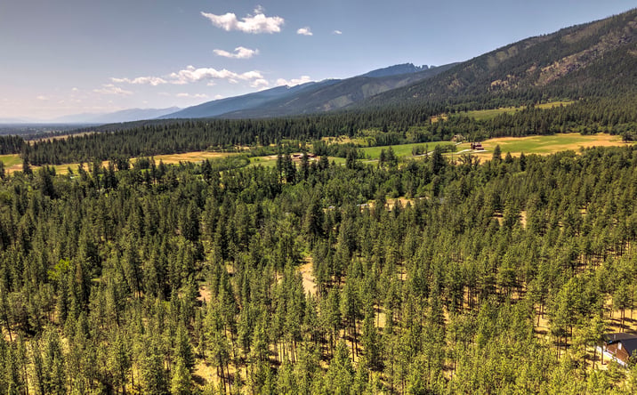Pictures of Land property located at NHN Holloway Lane, Florence, MT 59833 for sales - image #1