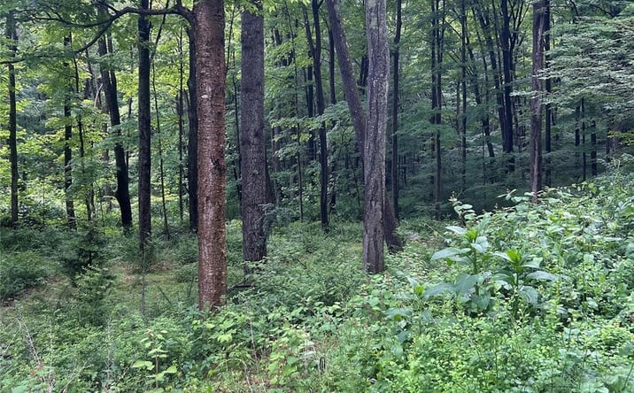Pictures of Land, Special Purpose property located at Gordon Road, Kent, NY 10512 for sales - image #1