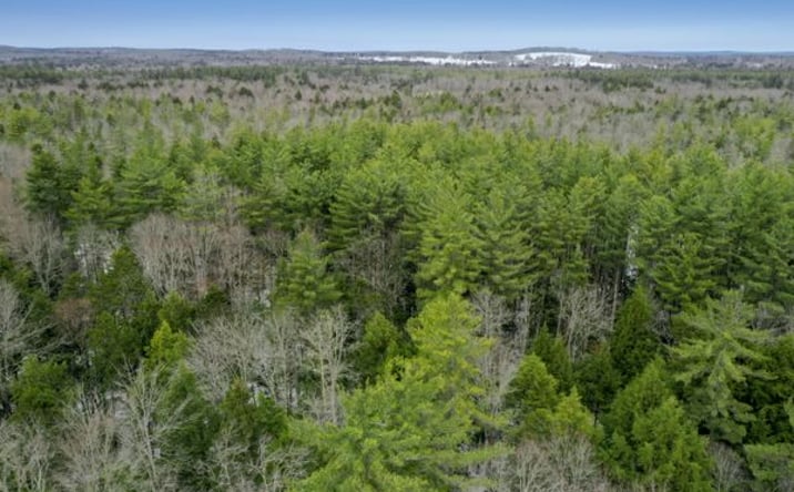 Pictures of Land property located at Elpis Rd, Camden, NY 13316 for sales - image #1
