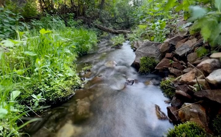 Pictures of Land property located at TBD Soap Gulch Road, Melrose, MT 59743 for sales - image #1