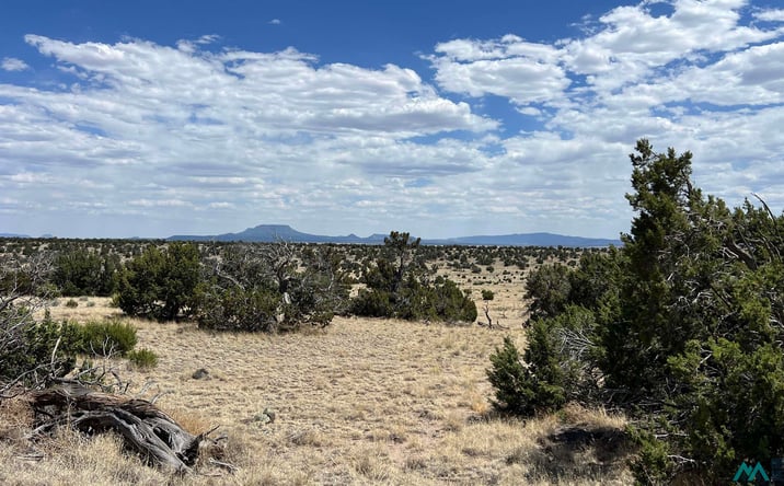 Pictures of Land property located at Warpath Rd Road, Quemado, NM 87829 for sales - image #1