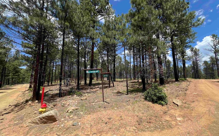 Pictures of Land property located at 154 Calle Retiro Road, Rociada, NM 87742 for sales - image #1