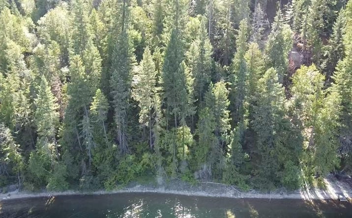 Pictures of Land property located at 28782 Cedar Bay Lane, Bigfork, MT 59911 for sales - image #1
