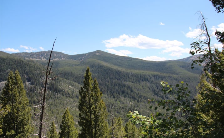 Pictures of Land property located at 56 Kewanee Lode, Philipsburg, MT 59858 for sales - image #1