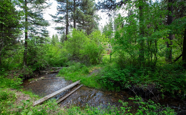 Pictures of Land property located at 110 and 160 Waylon Way, Bonner, MT 59823 for sales - image #1