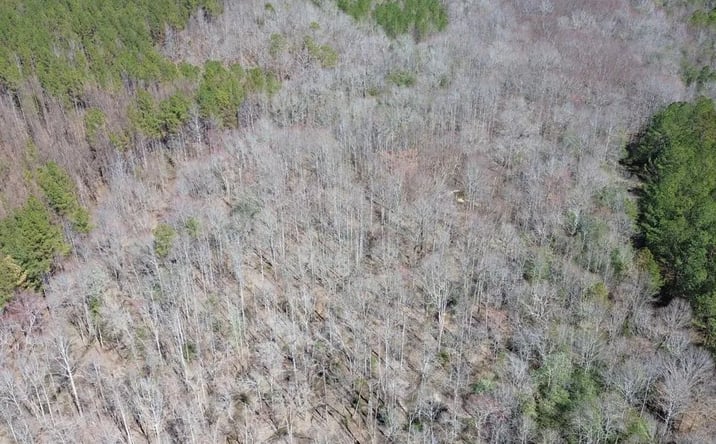 Pictures of Land property located at 000 Hayes Road, Detroit, AL 35552 for sales - image #1