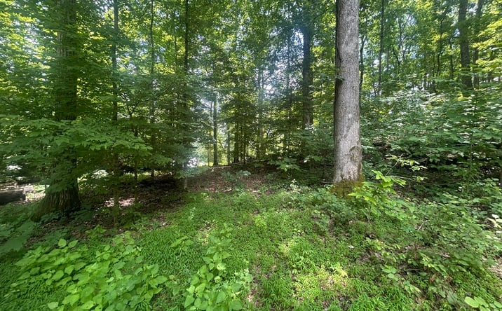 Pictures of Land property located at 00 Cedar Lane, Sugar Tree, TN 38380 for sales - image #1