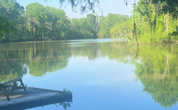 Pictures of Land property located at Old Poor Robin Rd., Sylvania, GA 30467 for sales - image #1