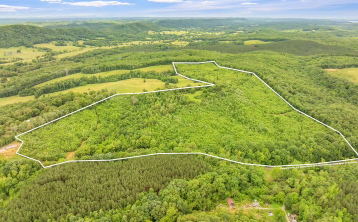 Pictures of Land property located at Grigsby Hollow Rd, Kingston, TN 37763 for sales - image #1